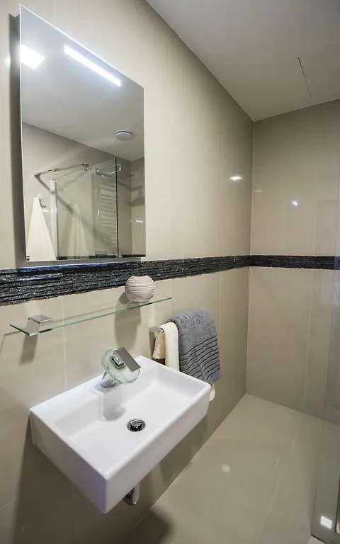 Penzion Janova Ostrava Guest house